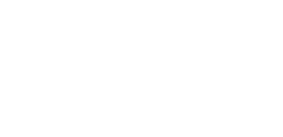 lafontaninaevents.it